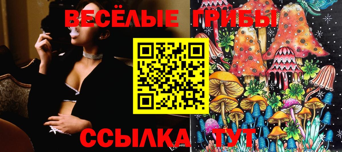 Псилоцибиновые грибы GOLDEN TEACHER Алексеевка