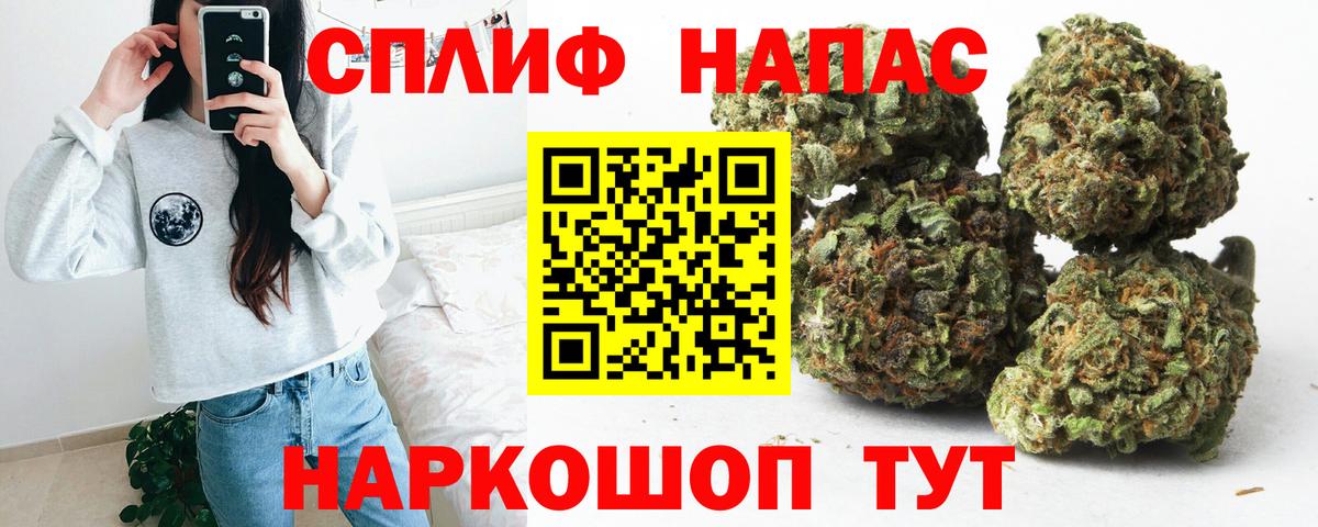 Бошки Шишки семена  МАРИХУАНА индика  Вход с VPN  Алексеевка 
